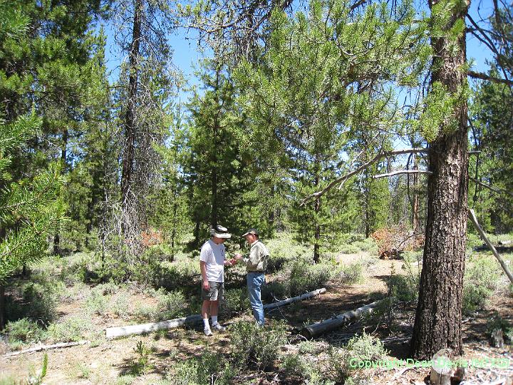 Picture 002.jpg - N7DS Jeff and NE7D Rock Putting up full size loop in trees